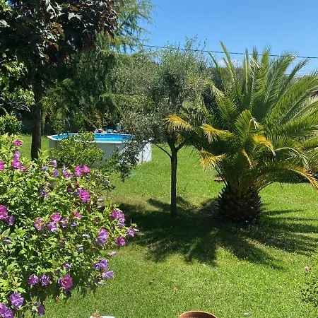 La Fincurri Del Nando 拉科鲁尼亚